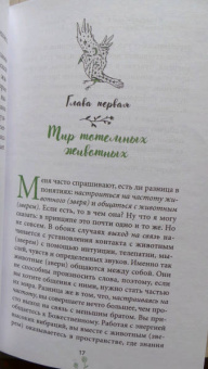 Мелисса Альварес: Маленькая книга духовных животных