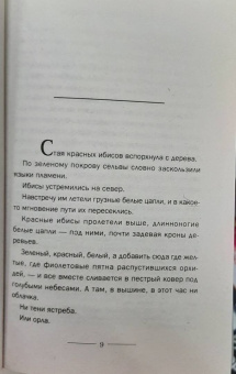 Альберто Васкес-Фигероа: Икар