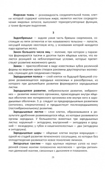 Валентин Голиков: Зоология беспозвоночных. Краткий глоссарий