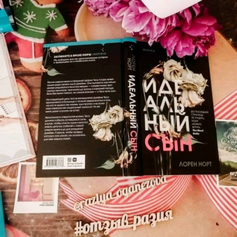 Лорен Норт: Идеальный сын
