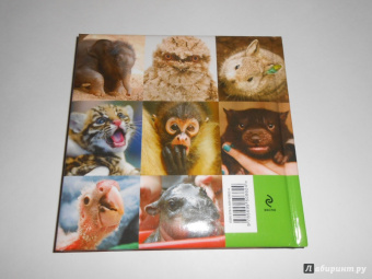 Блэйман, Истланд: Детеныши животных