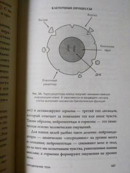 Джо Диспенза: Сила подсознания, или Как изменить жизнь за 4 недели