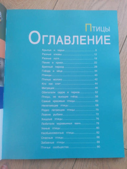 Птицы