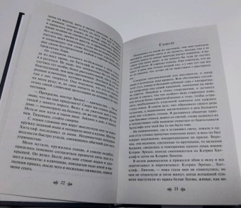 Эмили Бронте: Грозовой перевал
