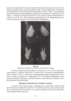 Демин, Хотов: Основы коневодства. Практикум. Учебное пособие для СПО