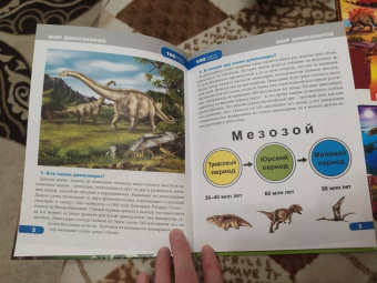 Ярослава Соколова: Мир динозавров