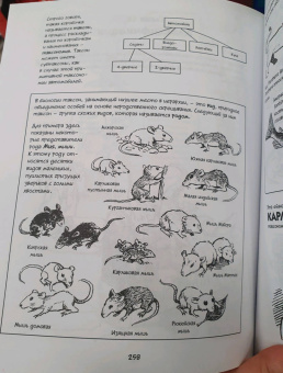 Гоник, Весснер: Биология. Краткий курс в комиксах