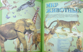 1001 вопрос и ответ обо всем на свете
