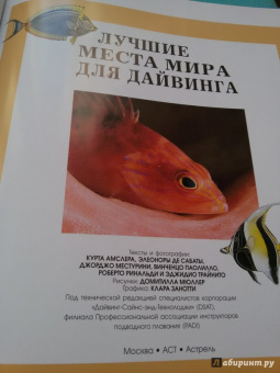 Лучшие места мира для дайвинга
