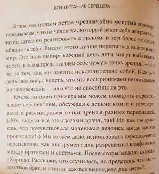 Альфи Кон: Воспитание сердцем. Без правил и условий
