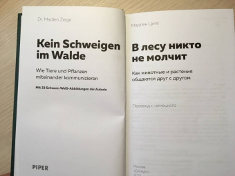 Мадлен Циге: В лесу никто не молчит. Как животные и растения общаются друг с другом