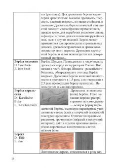 Владимир Волынский: Лесотехнический толковый словарь. СПО