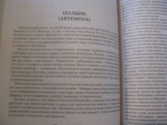 Вишневский, Замятина: Готовим из дикоросов. Травы