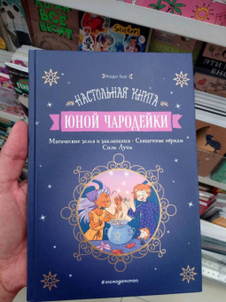 Жюдит Вьей: Настольная книга юной чародейки