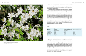 Бруно Кремер: Цветы. Естественная история