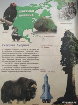 Евстигнеев, Ященко: Как устроен мир