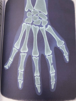 Елена Ульева: Идем в поликлинику! Энциклопедия для малышей в сказках