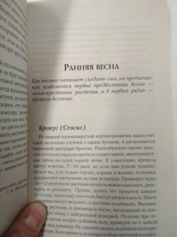 Галина Кизима: Цветник для тех, кому за... без лишних усилий