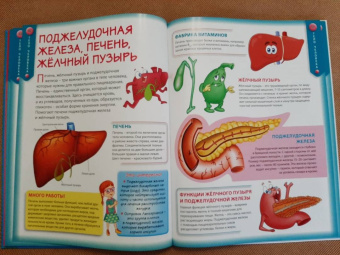 Детская энциклопедия для почемучек от 6 до 12 лет