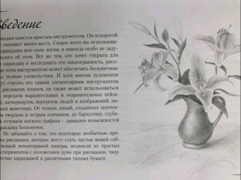 Diane Cardaci: Рисуем всё! Альбом для скетчинга