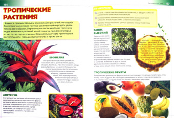 Новая детская энциклопедия