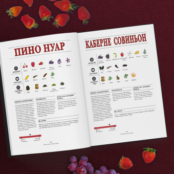 Офели Нэман: Вино. Иллюстрированный курс
