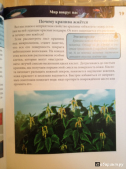 Оксана Балуева: Энциклопедия для любознательных