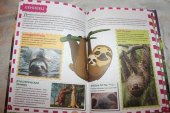 Джунгли. Животные и птицы