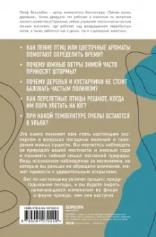 Петер Вольлебен: Тайные знаки природы. Как стать погодным детективом и читать приметы