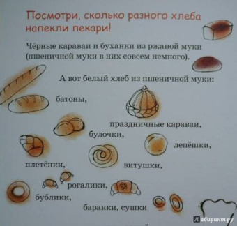 Инна Карпова: Пекарь