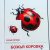 Цветкова, Шорыгина: Демонстрационные картинки "Насекомые" (16 картинок)