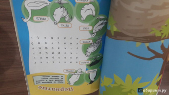 Курс занимательных заданий. Для детей 5-6 лет