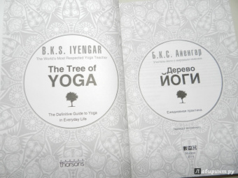 Айенгар Беллур Кришнамачар Сундараджа: Дерево йоги. Ежедневная практика