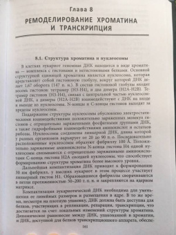 Миронова, Падкина, Самбук: РНК. Синтез и функции. Учебное пособие