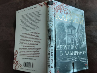 Донато Карризи: Девушка в лабиринте