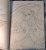 Anime Art. Чайная церемония. Книга для творчества в стиле аниме и манга