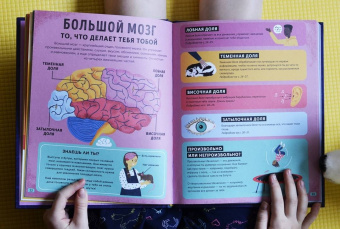 Тим Кеннингтон: Его величество мозг. Все самое интересное о работе мозга людей, животных и роботов