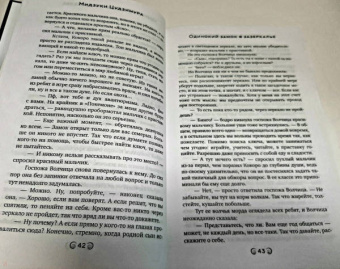 Мидзуки Цудзимура: Одинокий замок в Зазеркалье