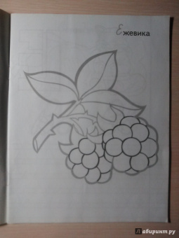 Прописи "Е - Енот"