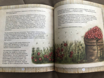 Сказочная Камчатка