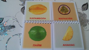 Носова, Иванова: Книга-пазл "Фрукты и дольки"