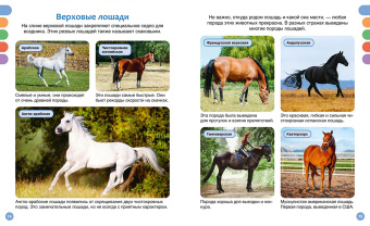 Гийоре, Рейнинг: Лошади