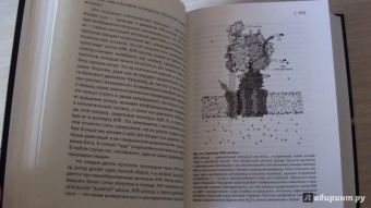 Ник Лейн: Вопрос жизни