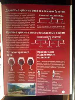 Марк Шпаковский: Вино. Большой иллюстрированный гид