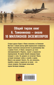 Александр Тамоников: Огненное побережье