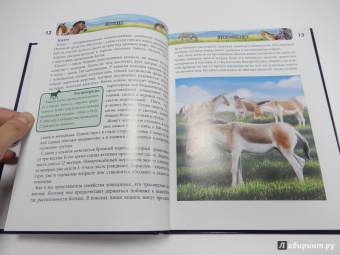 Леся Калугина: Хочу знать. Лошади