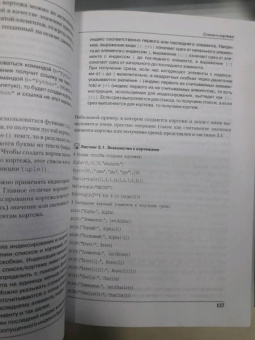 Алексей Васильев: Программирование на Python в примерах и задачах