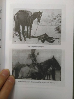 Андрей Венков: Атаман Краснов и Донская армия. 1918 год