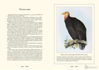 С. Иванов: Птицы Северной Америки. Д.-Ж. Эллиот