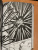 ONE: One-Punch Man. Книга 8